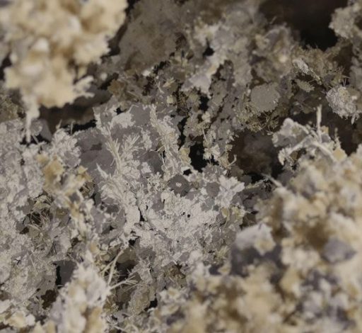 Risks of Asbestos in Residential Properties
