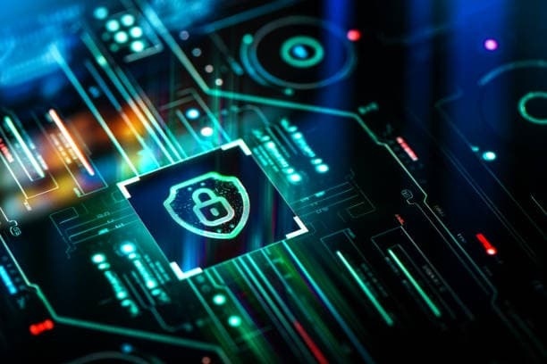 The Impact of Exchange Participation on Cognitive Diversity