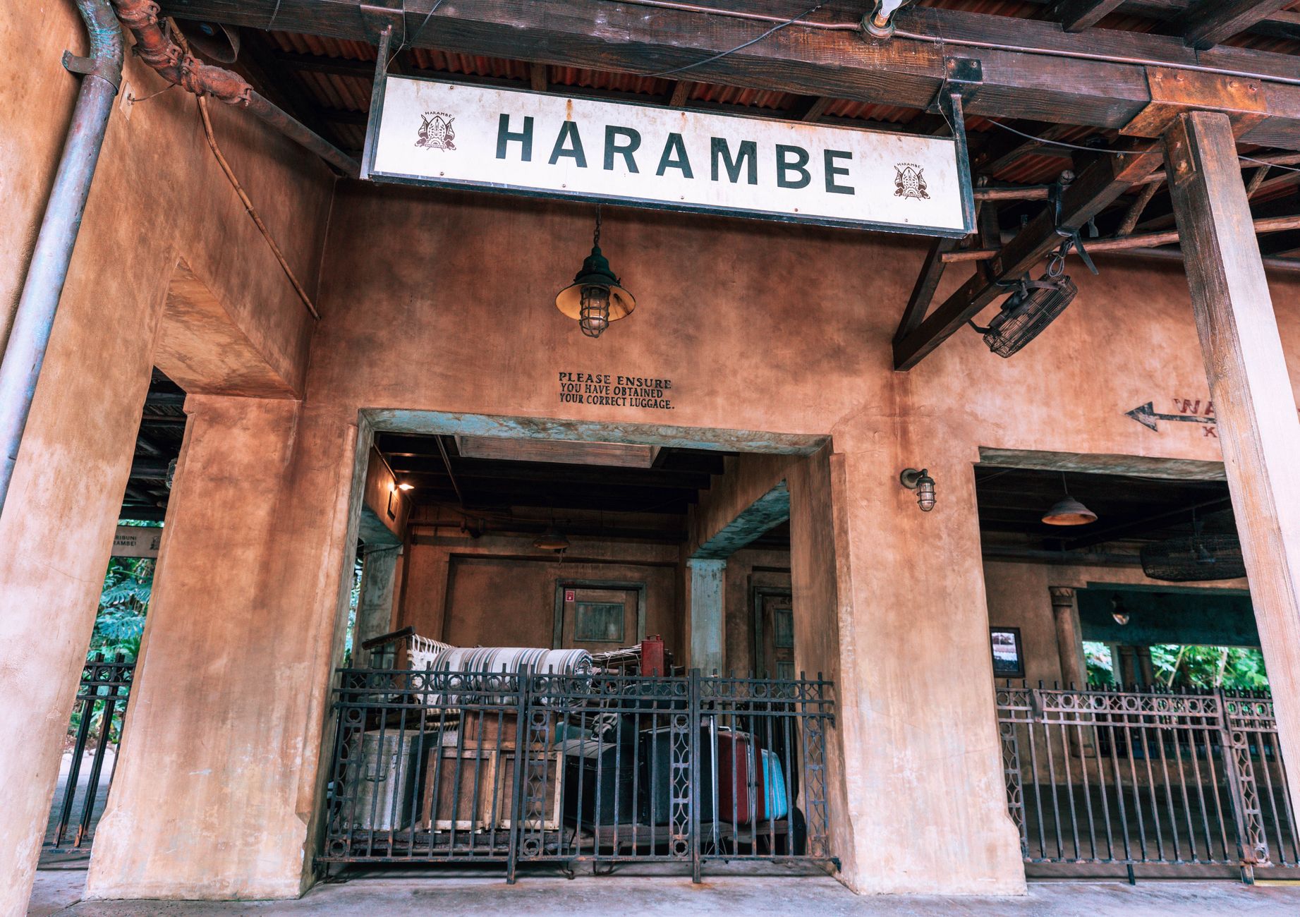 Disney World Adventureland Project: The Best New Experience